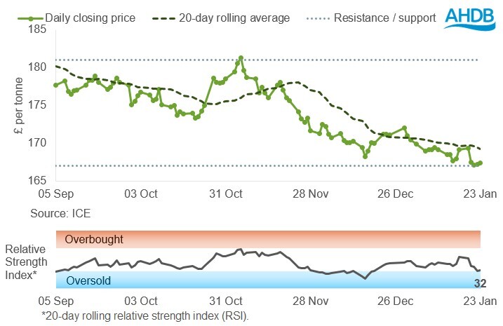 Graph of UK feed wheat futures over the six months to 23 January 2026
